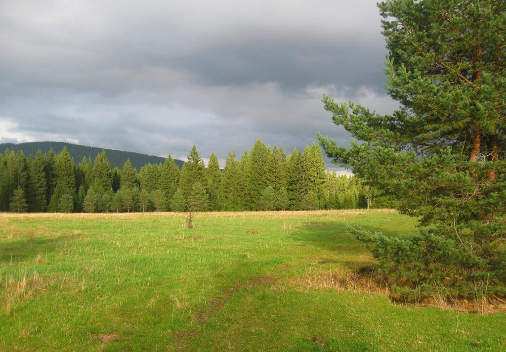 Ubytování na Slučím Tahu Prasily Exterior foto
