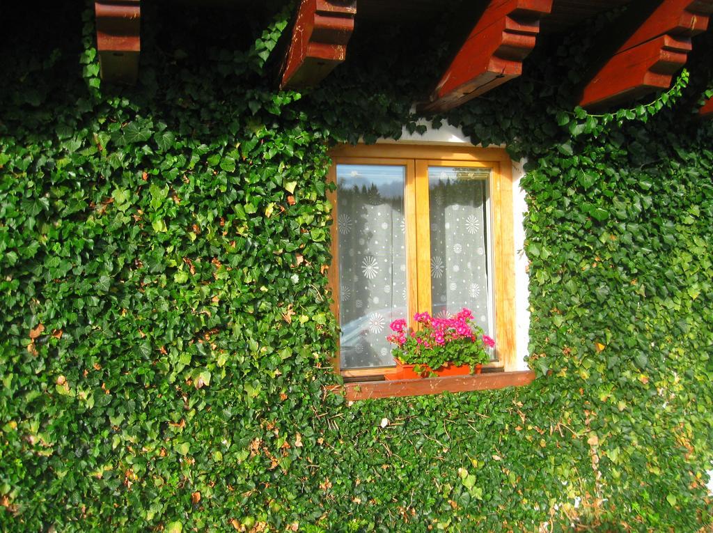 Ubytování na Slučím Tahu Prasily Exterior foto