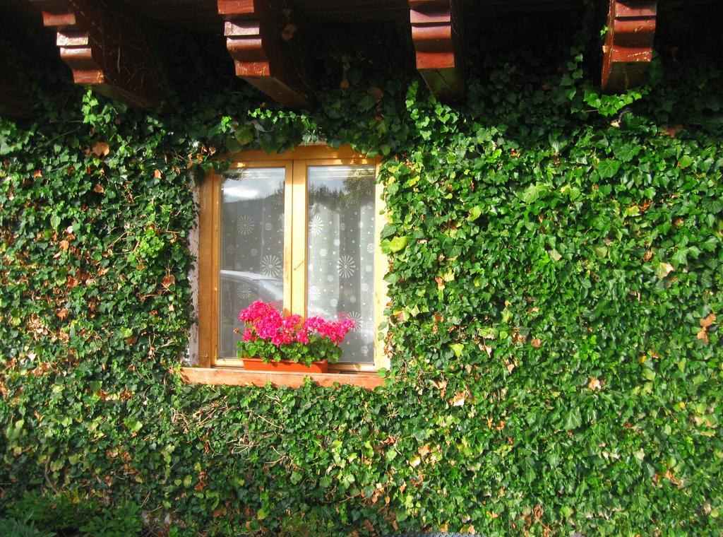 Ubytování na Slučím Tahu Prasily Exterior foto