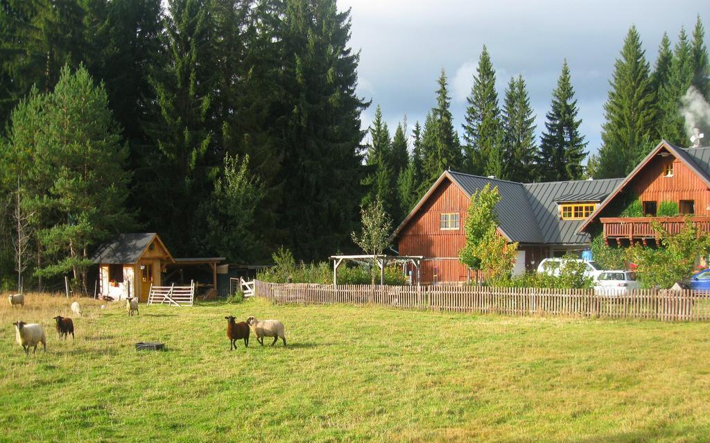 Ubytování na Slučím Tahu Prasily Exterior foto